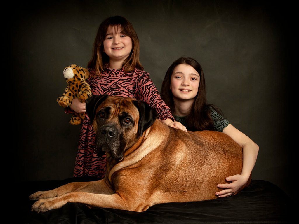 Great Dane and kids photography Leicester